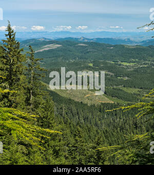 In der Oregon Coast Range in der Nähe von Coos Bay, ein Blick vom Büro des Land-Managements (BLM) landet in den Camas Valley, zeigen klare Wald Patches Stockfoto