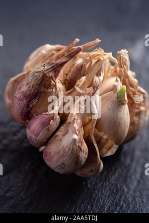 Nahaufnahme einer homegrown Lampe von Knoblauch auf eine dunkle Oberfläche Stockfoto