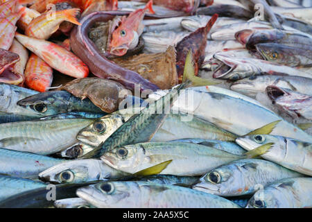 Frischer Fisch für die Bouillabaisse Suppe für Verkauf zu einem Fischmarkt am Alten Hafen in Marseille, Frankreich Stockfoto