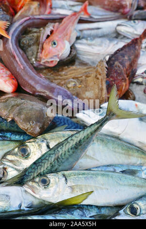 Frischer Fisch für die Bouillabaisse Suppe für Verkauf zu einem Fischmarkt am Alten Hafen in Marseille, Frankreich Stockfoto