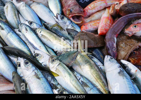 Frischer Fisch für die Bouillabaisse Suppe für Verkauf zu einem Fischmarkt am Alten Hafen in Marseille, Frankreich Stockfoto