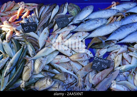 Frischer Fisch für die Bouillabaisse Suppe für Verkauf zu einem Fischmarkt am Alten Hafen in Marseille, Frankreich Stockfoto