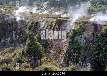 Dampf gießt aus einem Krater im Krater des Mondes geothermische Feld Stockfoto