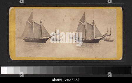 Mit einer Hand - farbige Anzeigen. Robert Dennis Sammlung von stereoskopische Ansichten. Einige Ansichten haben steuerstempel angebracht. Titel von Cataloger'. Blick auf den Hafen von New York: Fähren, Segelschiffe, Piers und Kaianlagen, Dampfschiffe, einschließlich der Vorsehung und mit Blick auf den Innenbereich, schwebenden Getreidesilos, Lastkähne, Werften, Männer aus dem französischen Mann-von-Krieg Landung in einem dory an der Batterie, die US Barge Office und den Versand news Büro des New York Herald, der Fuß der Whitehall Street, Soldaten auf einen italienischen Mann-von-Krieg mit Bajonetten, Fort Lafayette, Governors Island.; Blick auf die Bucht, von der Batterie, N Stockfoto