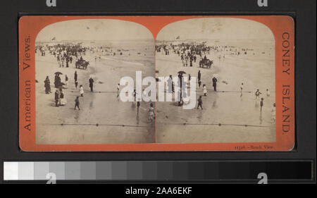 Blick von Anthony, Keystone, Strohmeyer & Wyman und andere Fotografen und Verlage. Robert Dennis Sammlung von stereoskopische Ansichten. Titel von Cataloger'. Blick auf Coney Island, Brighton und Manhattan Strände: am Strand, im Wasser, einer Ansicht, ertranken Junge, Rettern und Zuschauern, Bänke, Bügeleisen Pier, Oriental Hotel und ein Fahrgeschäft, das Razzle Dazzle bei Coney Island; Musik Pavillon, Spazierwege, Hotel Brighton, Feltman's Hotel in Brighton Beach, Manhattan Beach Hotel, Notenständer, Mautstelle auf Shell Straße.; Blick auf den Strand. Stockfoto