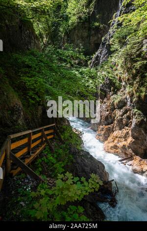 Enge Schlucht, Schlucht mit Fluss, Wolfsklamm, Stans, Tirol, Österreich Stockfoto