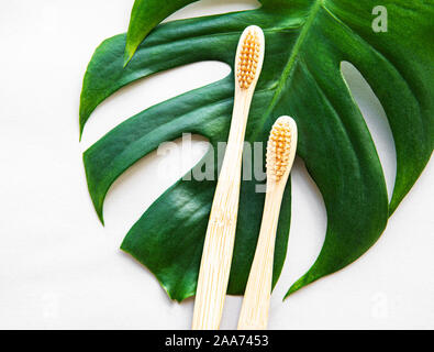 Bambus Zahnbürsten und monstera Blatt auf weißem Hintergrund. Null Abfall und biologisch abbaubaren und recycelbaren Material Konzept verwenden. Flach. Stockfoto