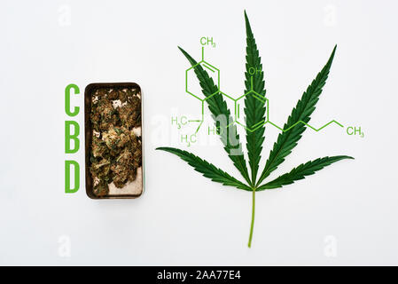 Blick von oben auf die grüne Blatt Cannabis und Marihuana Knospen in Metallbox auf weißem Hintergrund mit cbd Molekül Abbildung Stockfoto