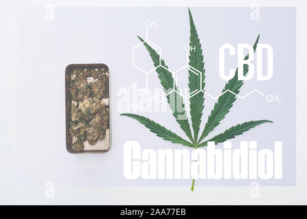 Blick von oben auf die grüne Blatt Cannabis und Marihuana Knospen in Metallbox mit cbd Molekül Abbildung Stockfoto