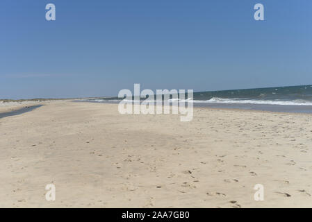 Der Coto de Donana Nationalpark in Andalusien, Spanien Stockfoto