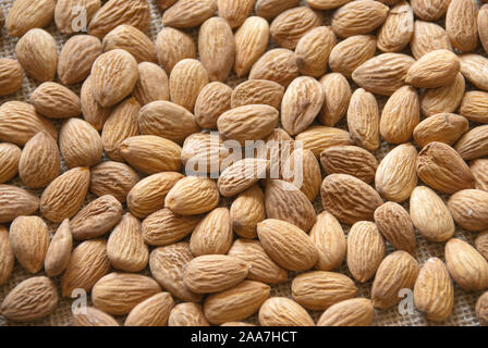 Mandel (Prunus dulcis) Stockfoto