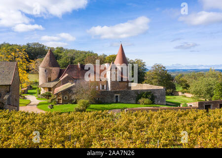 Frankreich, Saone-et-Loire, La Chapelle sous Brancion, Brancion, Chateau de Adligen und Weinberg im Herbst // Frankreich, Saône-et-Loire (71), La Chapelle-sous Stockfoto