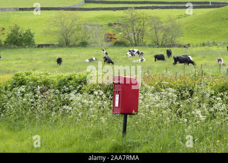 Ländliche Royal Mail Post Box auf einem Gras kurz in der Nähe von Lancaster, Lancashire. Stockfoto