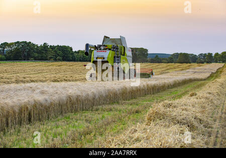 Abend die Kombination einer Ernte von Gerste in der Nähe von Lauder, Berwickshire, Scottish Borders. Stockfoto