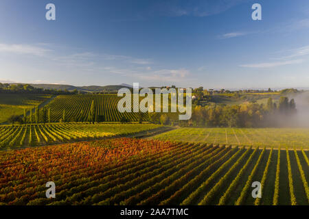 Luftaufnahme von einer ländlichen Landschaft bei Sonnenaufgang in der Toskana. Ländlichen Bauernhof, Weinberge, grüne Felder, Sonne und Nebel. Italien, Europa. Stockfoto