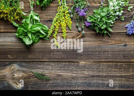 Trauben von frischen Kräutern aus dem Garten. Verschiedene Kräuter, Ansicht von oben. Stockfoto