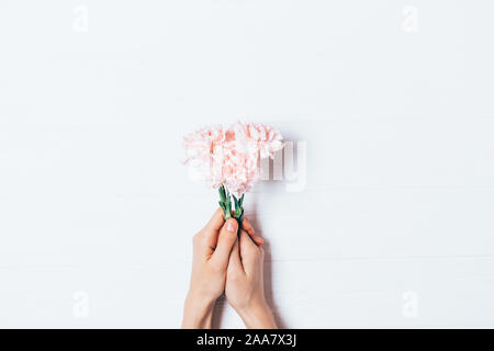 Woman's Hände, die kleinen Blumenstrauß aus rosa Nelken auf weißem Holz- Hintergrund. Stockfoto