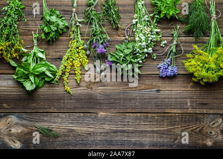 Trauben von frischen Kräutern aus dem Garten. Verschiedene Kräuter, Ansicht von oben. Stockfoto