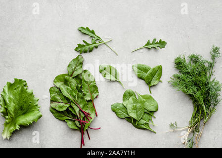 Verschiedene Kräuter und Gemüse. Organische frische Blätter von Salaten, Ansicht von oben Stockfoto