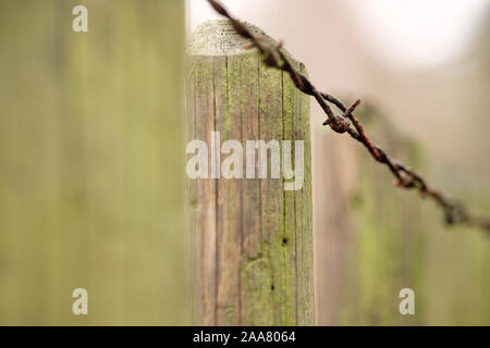 Moody closeup Schuß im Herbst von einem Holzzaun mit etwas Moos und rostigen Stacheldraht auf der Oberseite Stockfoto
