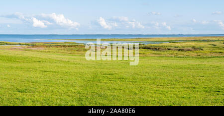 Panorama des Wattenmeeres Küste mit sümpfen auf der westfriesischen Insel Schiermonnikoog, Niederlande Stockfoto