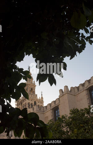 Sevilla, Spanien. La Girlada und der Glockenturm der Puerta del Perdón (Tür der Vergebung) an der Kathedrale von Sevilla. Stockfoto