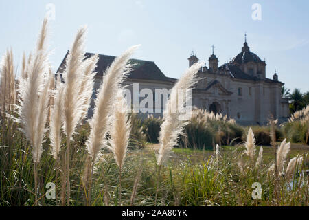 Sevilla, Spanien. Pampas Gras mit das Monasterio de la Cartuja (Kloster Santa Maria de las Cuevas) im Hintergrund. Stockfoto