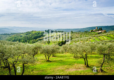 Artimino, Toskana, Italien typische schöne Ausblicke auf die Landschaft. Hügel in der Toskana mit einem alten Pfarrkirche zwischen Olivenbäumen und Zypressen Stockfoto