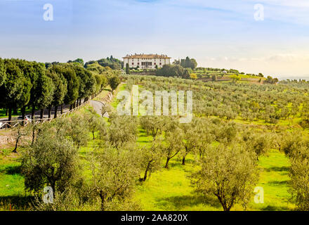 Artimino, Toskana, Italien, erstaunliche Landschaft Blick auf wunderschönen Medici-Villa La Ferdinanda oder Cento Camini Fassade unter grünen Olivenbäumen Stockfoto