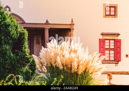 Artimino, Toskana, Italien, wunderschönen Medici-Villa La Ferdinanda oder Cento Camini Fassade Detail in seinem eleganten immergrünen Garten Stockfoto