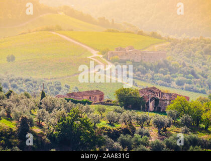 Toskana, Italien, schönen, typisch italienische Landschaft Landschaft Panorama mit Blick auf Weinberge, Olivenhaine und Hügel Stockfoto