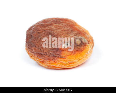 Eine faule Aprikosen isoliert auf weißem Stockfoto