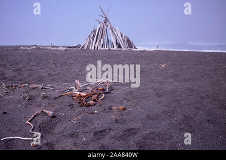 Ein treibholz Tierheim auf Manchester Beach, Kalifornien, USA Stockfoto