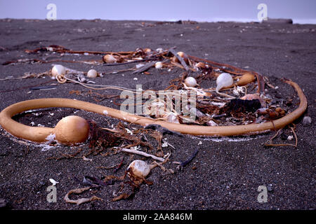 Artikel gewaschen bis aus dem Pazifischen Ozean auf Manchester Beach, Kalifornien, USA Stockfoto