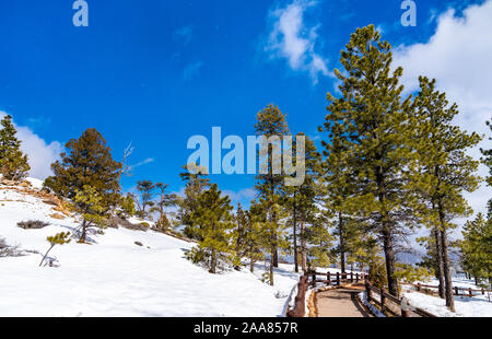 Winter Waldlandschaft im Bryce Canyon, USA Stockfoto