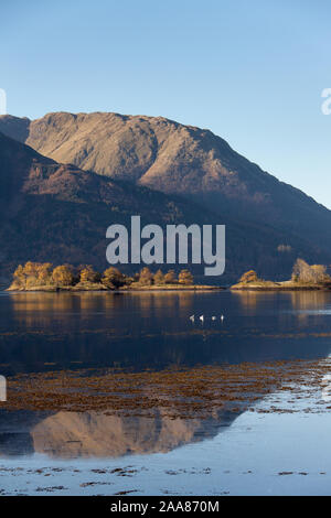 Bereich von Glencoe, Schottland. Morgen Blick auf Loch Leven auf der Suche nach Westen Richtung Ballachulish vom Ufer des Invercoe, in der Nähe des Dorfes von Glencoe. Stockfoto