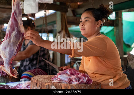 Die lebendige Fleisch, Fisch, Gemüse und Obst von Pakokku, Myanmar (Birma) mit einer jungen Frau verkaufen Frisch geschlachtet Fleisch Stockfoto