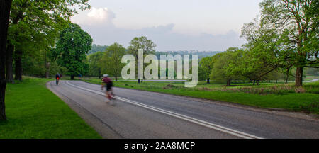 London, England, UK - April 29, 2014: Radfahrer Fahrt um die peripheren Straßen von Richmond Park in South West London. Stockfoto