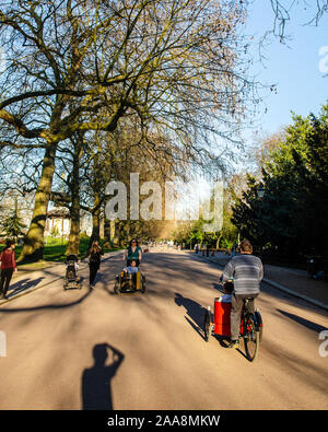 London, England, UK - 16. März 2014: Radfahrer fahren Fahrräder und Cargo trikes entlang der von Bäumen gesäumten Alleen des Battersea Park Schlitten fahren auf einem Sun Stockfoto