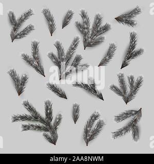 Tannenbaum Zweige Stock Vektor