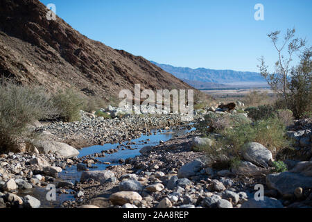 Kleine Bucht in den Anza Borrego State Park, Palm Canyon Stockfoto