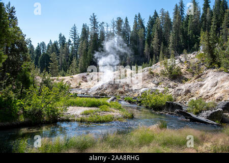 Dampf stieg von natürlichen heißen Quellen neben Hot Springs Creek Stockfoto