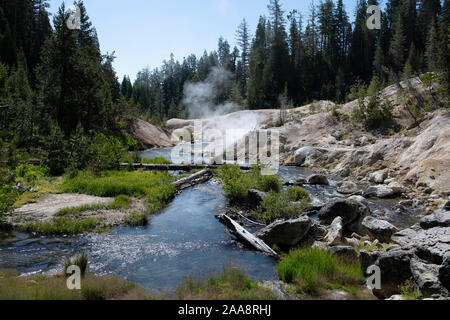 Dampf stieg von natürlichen heißen Quellen neben Hot Springs Creek Stockfoto