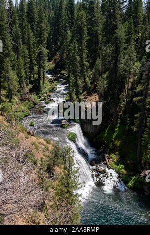 Großen Wasserfall in einem Pinienwald von oben gesehen Stockfoto