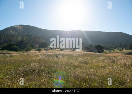 Sonnige Wiese mit Hintergrundbeleuchtung Berge in der Ferne Stockfoto