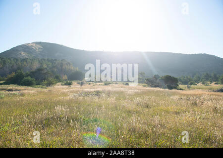 Sonnige Wiese mit Hintergrundbeleuchtung Berge in der Ferne Stockfoto