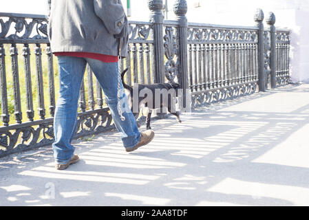 Die Füße der Menschen, über die Brücke. Ein treuer Hund läuft in der Nähe. Street Style. Tramp Stockfoto