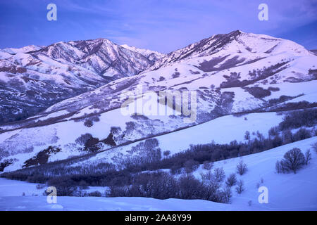 Winter in den Bergen, Wasatch Range, in der Nähe von Salt Lake City, Utah, USA Stockfoto