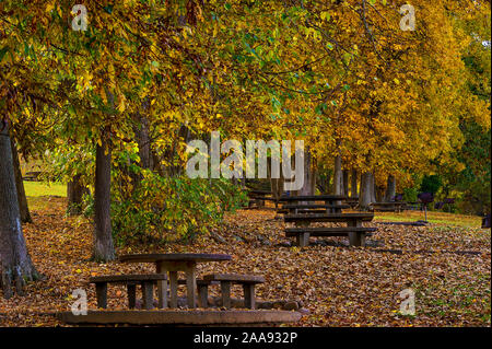 Herbst Farben bei Krieger State Park an den Ufern des Patrick Henry Behälter auf der Holston Fluss in Kingsport, Tennessee Stockfoto