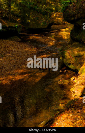 Der Creek im Dismals Canyon in Alabama, schlängelt sich durch eine üppige Landschaft und einzigartigen Felsformationen. Stockfoto